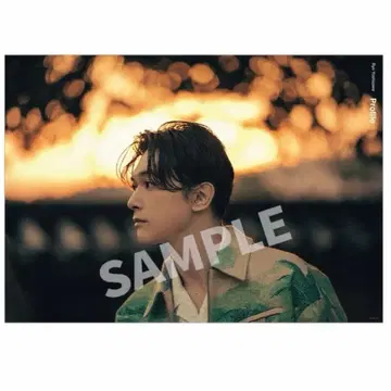 요시자와 료 A2 포스터 A/B 사진전 2024