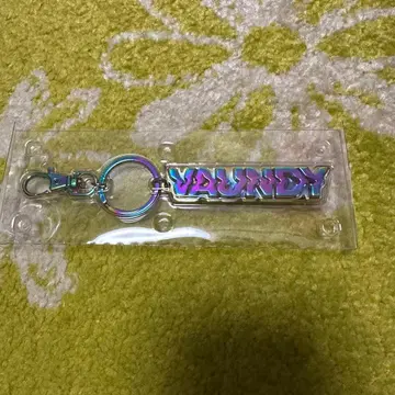 [ 새상품 ] Vaundy 오로라 키체인