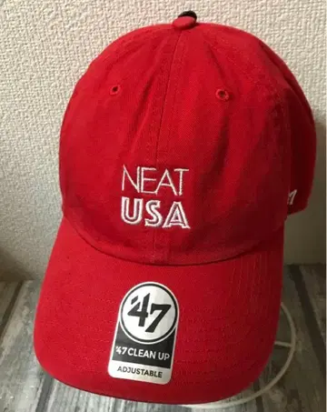 47 NEAT USA 레드 캡