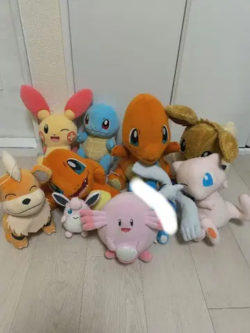 포켓몬 봉제 인형 세트 11체