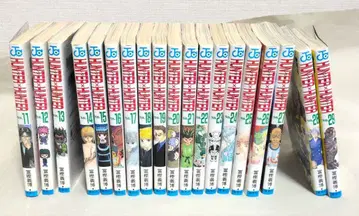 HUNTER x HUNTER 코믹 11권~29권 헌터 x 헌터 19권