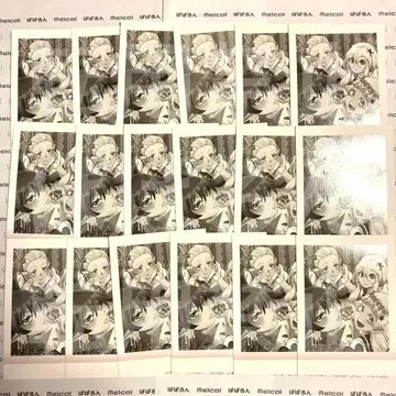 이루마 군 파샤코레 모임