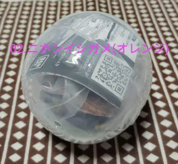 생물대도감 어드밴스 거북이02 일본남생이 (오렌지)