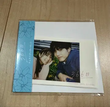 영화 366일 폴라로이드 스티커 세트