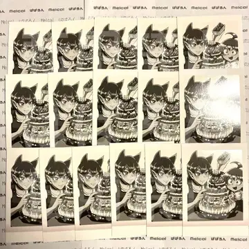 이루마 군 파샤코레 이루마&아메리