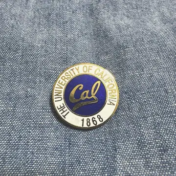 80s 캘리포니아 대학 버클레이 캠퍼스 핀 배지 핀즈