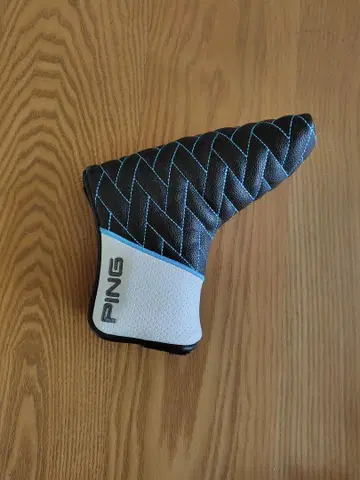 핑 퍼터 커버 스코츠데일