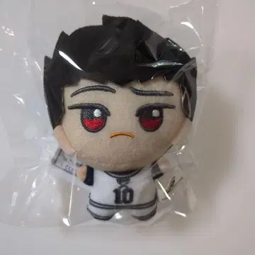 블루 록 SD 인형 마로 쿄에이 택 포함