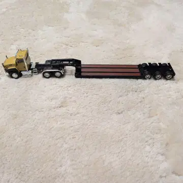 트레일러 포함 미니카 베이지와 블랙