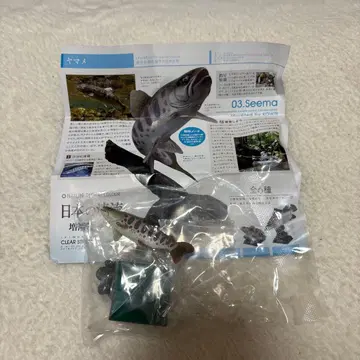 일본의 맑은 시냇물 야마메 미개봉 새상품 네이처 테크니컬러