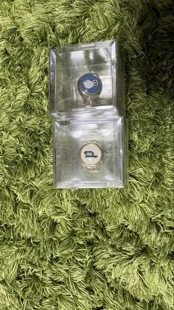 POINTLESS JOURNEY TOY RING