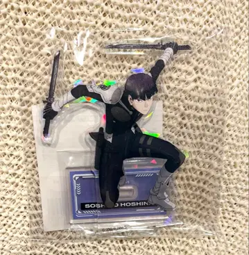 홀로그램 아크릴 스탠드 호시나 부대장