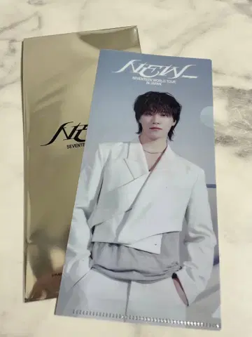 티켓 홀더 DINO 디노 SEVENTEEN 세부치