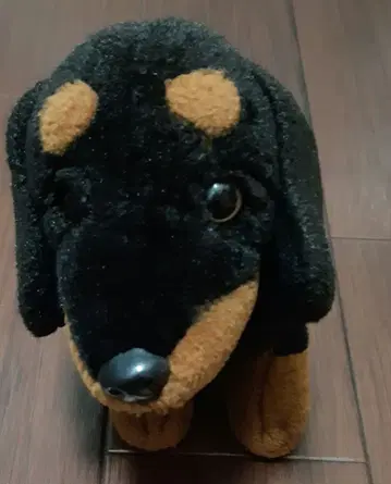 닥스 봉제 인형 블랙 브라운