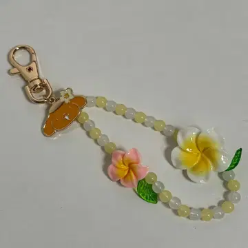 폼폼푸딩 참 일광화상