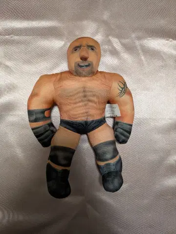 WCW 빌 골드버그 바디 배셔스 토이 비즈 프로레슬링