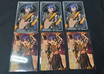 브라스테라 브라라이 아이