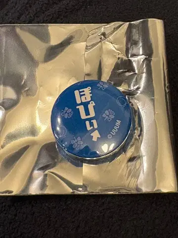 컬러풀피치 카라피치 나오키리 씨 특전 미니 캔뱃지