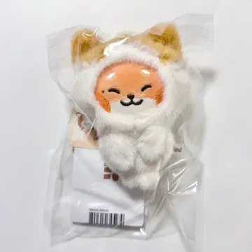 zeroni 튀니니 FLUFFY Wonderland