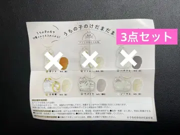 우리 아이 털뭉치 삼색 고양이 사바토라 노멀 가챠 캡슐 토이 3종