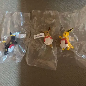 길거리 산책 챠라링 프렌즈 블래키 이브이 썬더 포켓몬 제일복권