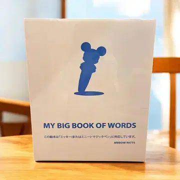 MY BIG BOOK OF WORDS DWE 디즈니 영어 시스템