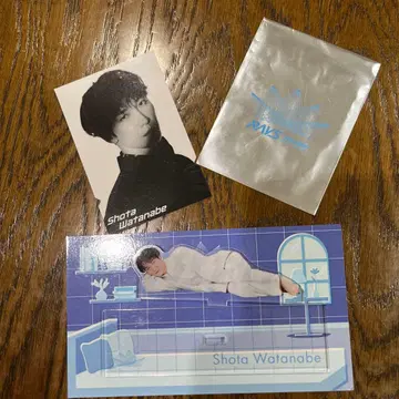 Snow Man 와타나베 쇼타 아크릴 스탠드 티켓풍 카드 RAYS