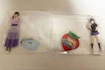 나오타 히나 아크릴 스탠드 세트