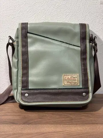 Darwin 민트 그린 숄더백