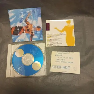 Parasite EVE Remixes ()