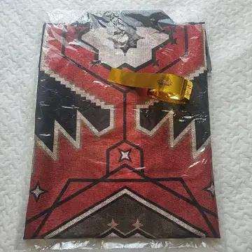 EXILE THE REASON 업그레이드 굿즈 반비 하피 한정판