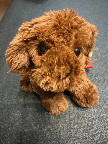 토이 푸들 봉제 인형 바스켓 포함 브라운