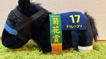 서러브레드 컬렉션 두레츠아 폭신폭신 BIG 국화상