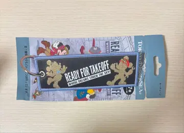 디즈니 드림스테이크 플라이트 플라이트 택 키체인 시크릿