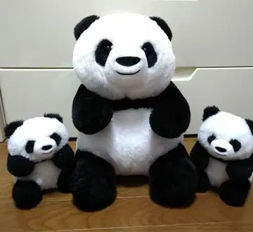 팬더 봉제 인형 3개 세트 어드벤처 월드 와카야마