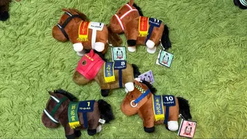 서러브레드 컬렉션 6체 세트