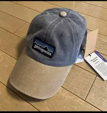 patagonia 캡 그레이/베이지