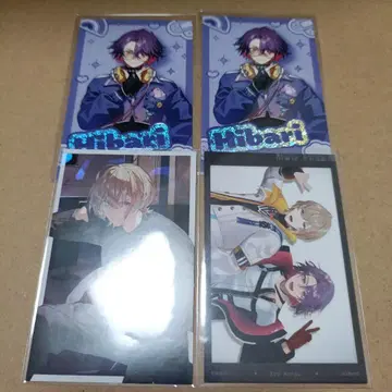 와타라이 히바리 후라 소토 니지산지 묶음 판매