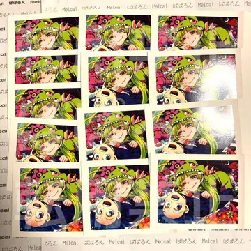 이루마 군 파샤코레 이루마&클라라