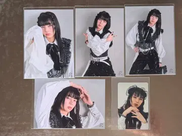 용궁성 ITARU WALTZ 세트