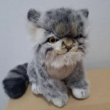 마눌 고양이 한사 봉제 인형 동물 고양이