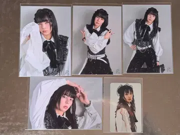 용궁성 ITARU WALTZ 세트