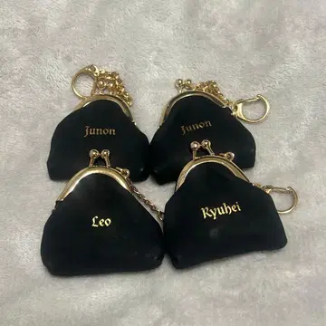 BEFIRST 코인 케이스