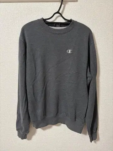 champion 챔피온 스웨트 트레이닝복 트레이닝복 L 그레이