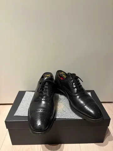 JOSEPH CHEANEY (조셉 치니) Francis / 프랜시스