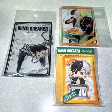 WIND BREAKER 사쿠라 하루카 묶음 판매