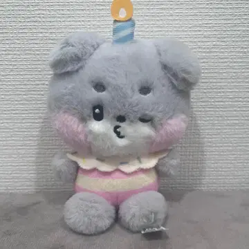 고니니 zeroni 미니 러쉬