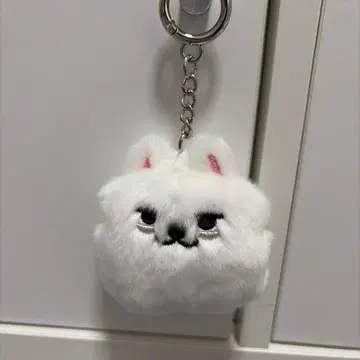 TXT 뿔바투 용몬 페이스 키링