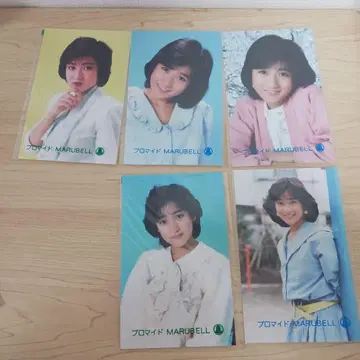 오카다 유키코 말벨당 5장 세트