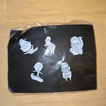 RIP SLYME 핀 배지 팬클럽 계속 혜택